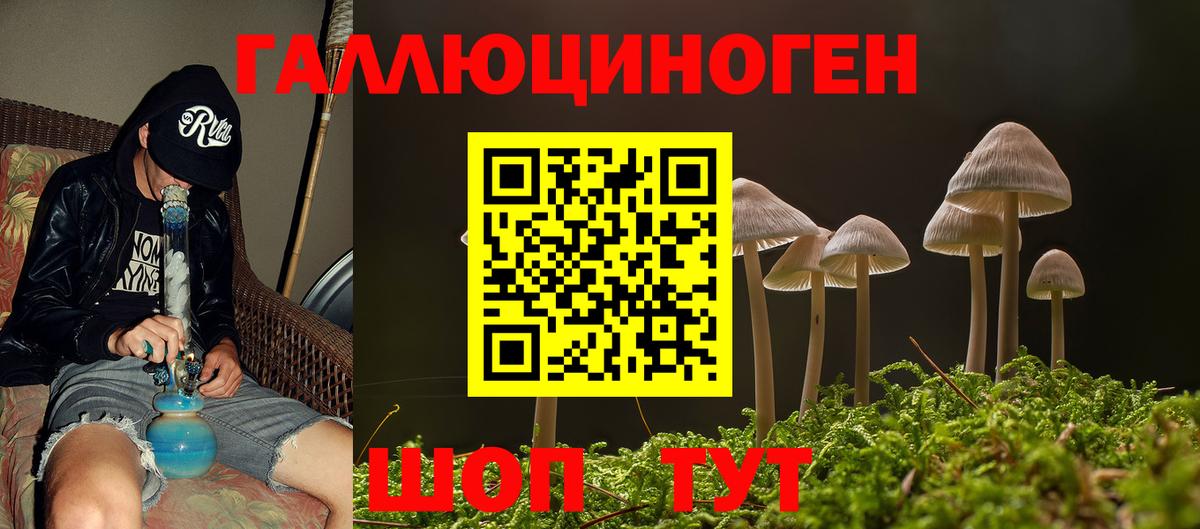 Псилоцибиновые грибы Psilocybe Люберцы
