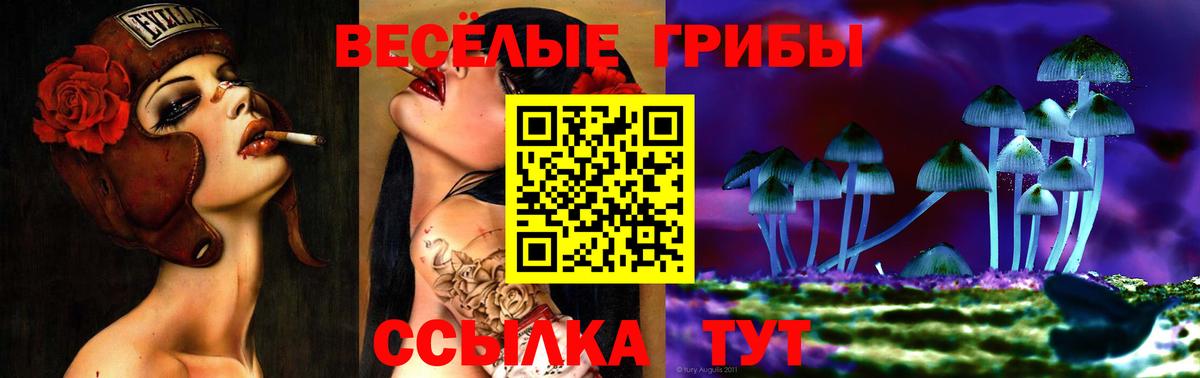 Люберцы  Псилоцибиновые грибы прущие грибы  Вход с VPN 